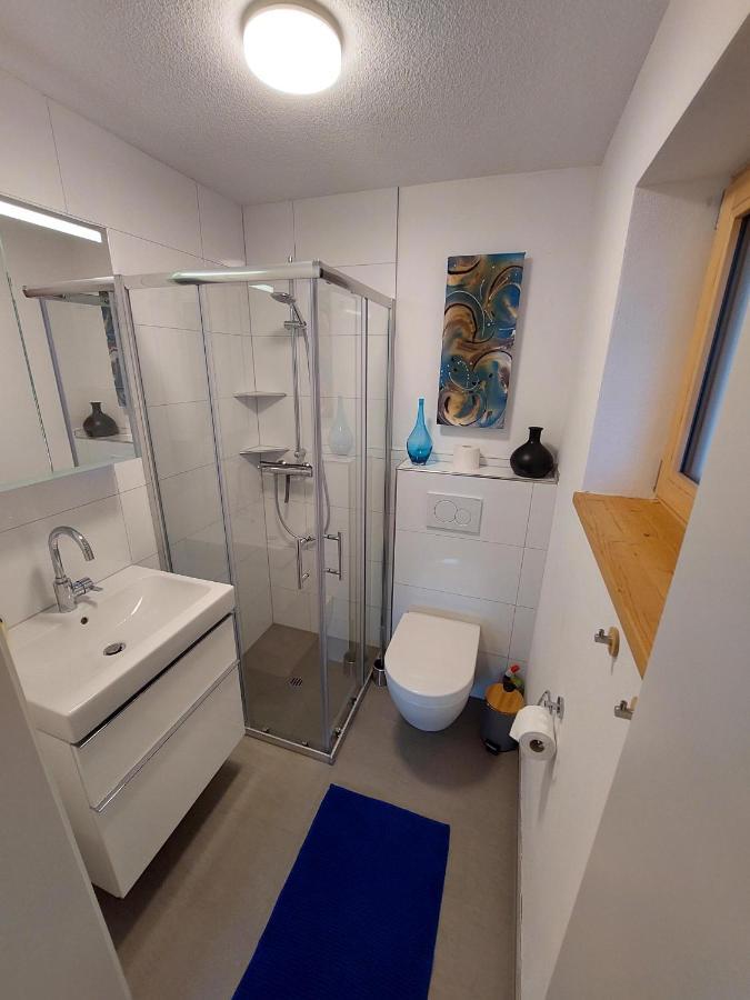 Haus Stroehle Apartment Schruns