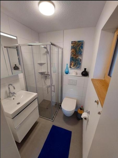 Haus Stroehle Apartment Schruns